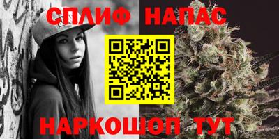 apvp Балахна