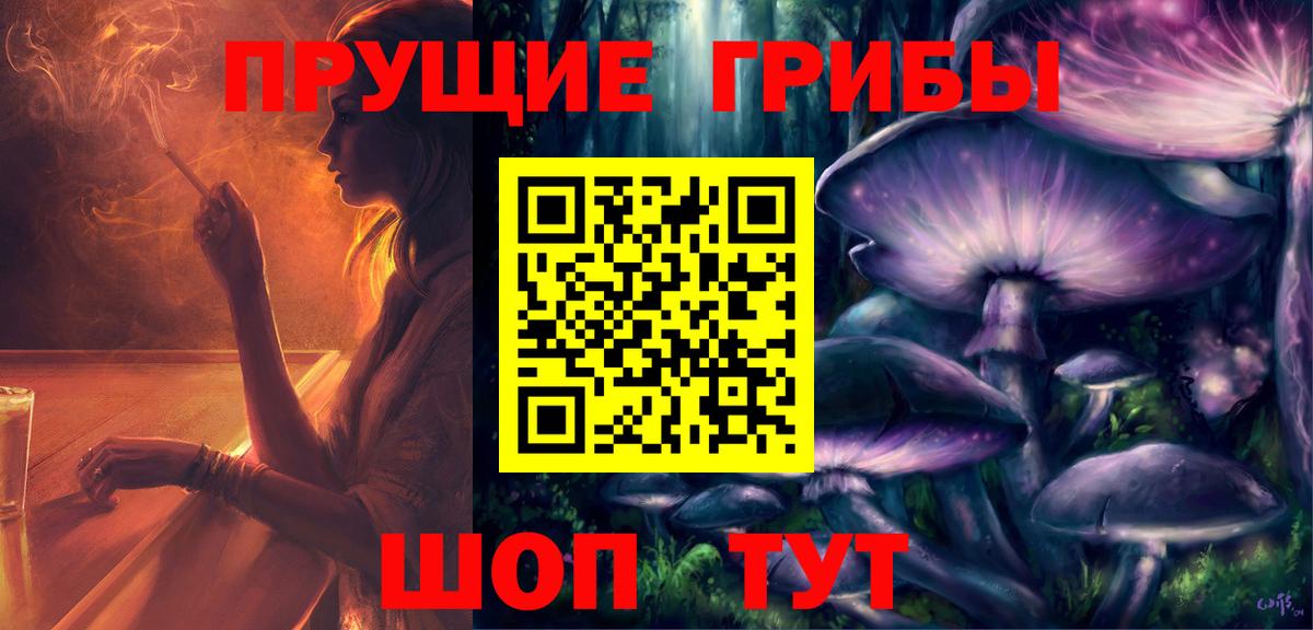 Псилоцибиновые грибы GOLDEN TEACHER Елец